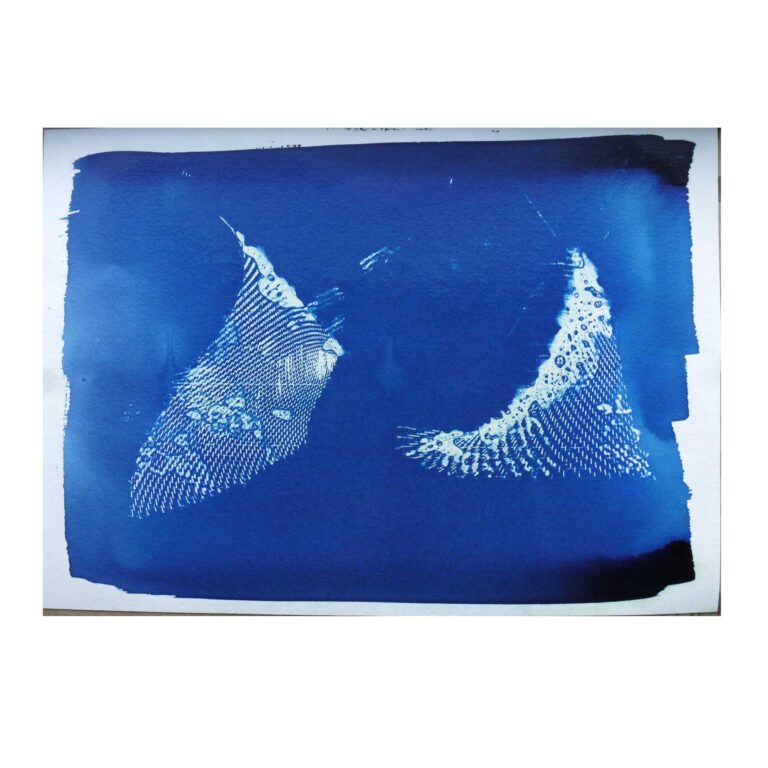 cyanotype