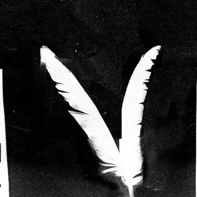 Cyanotype-Feather